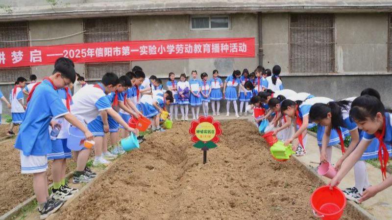 奋进拼搏这一年——信阳市教体局2025年体卫艺工作纪实