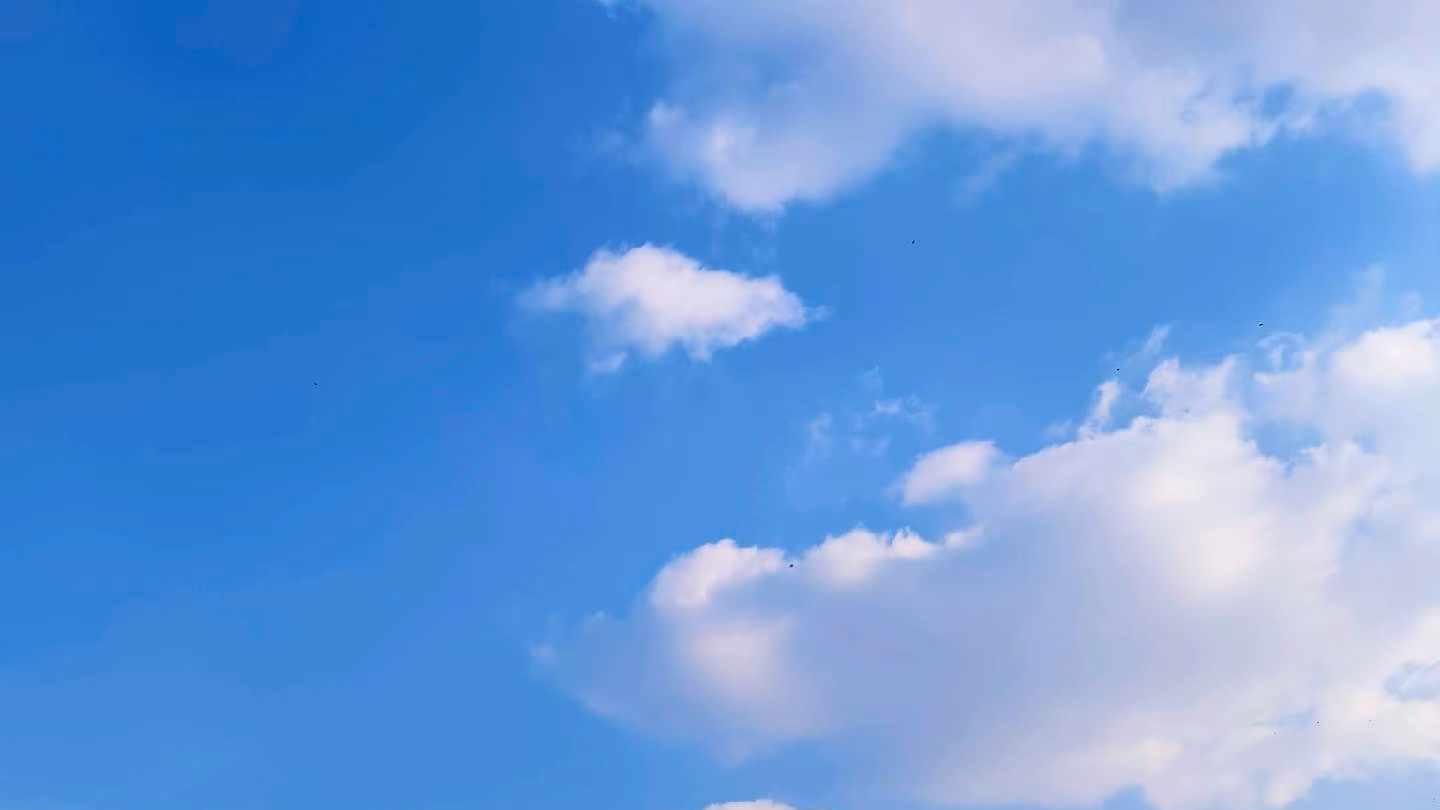 搬家之不断、不舍、不离