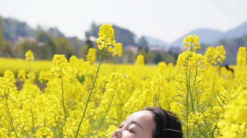 量子风水真伟大