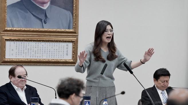 赢这都，郑丽文气势就大了！蔡正元揭现实：至少保护国民党支持者