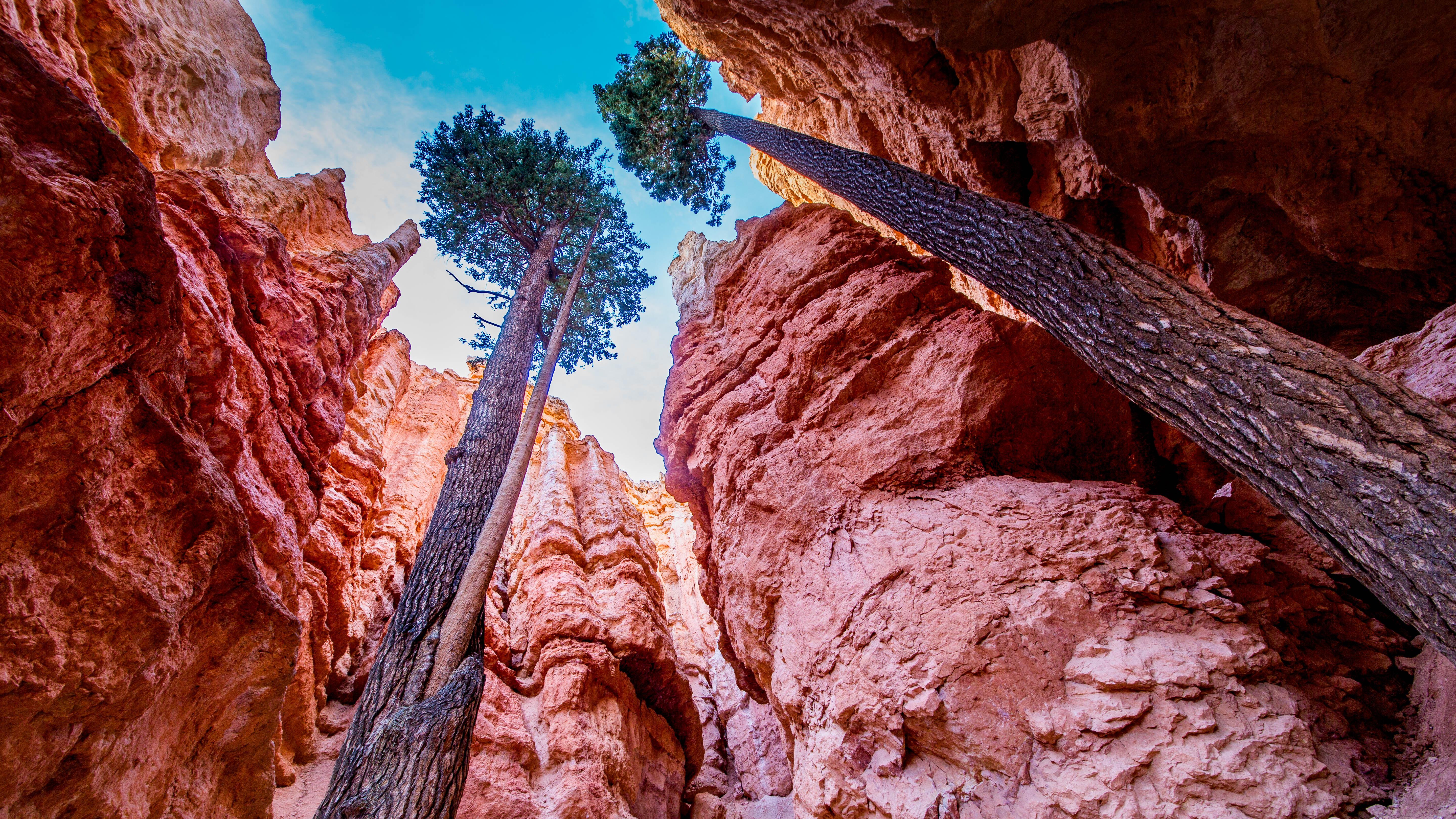 中国制造2026：越“稳”，越能跑