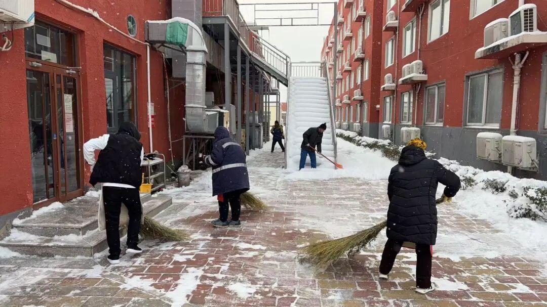 雪映博文暖，扫雪护学行 | 雪天出行防护提示，请查收！