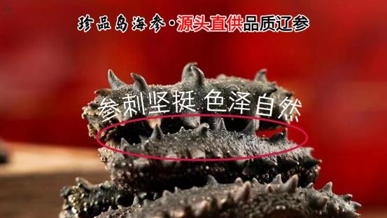 2025年优质海参选哪个牌子好，1-3千价位怎么挑？
