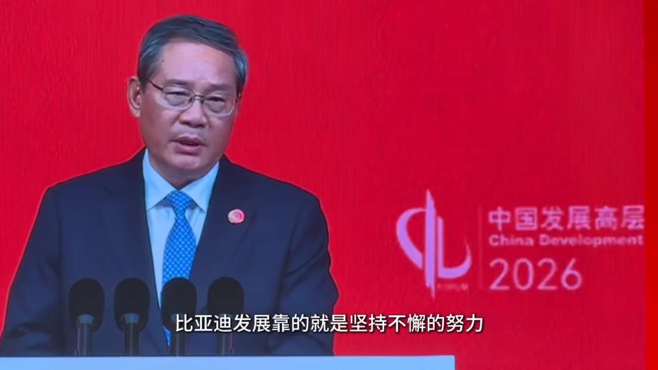 比亚迪：坚持长期主义，成就持续创新与发展之路。