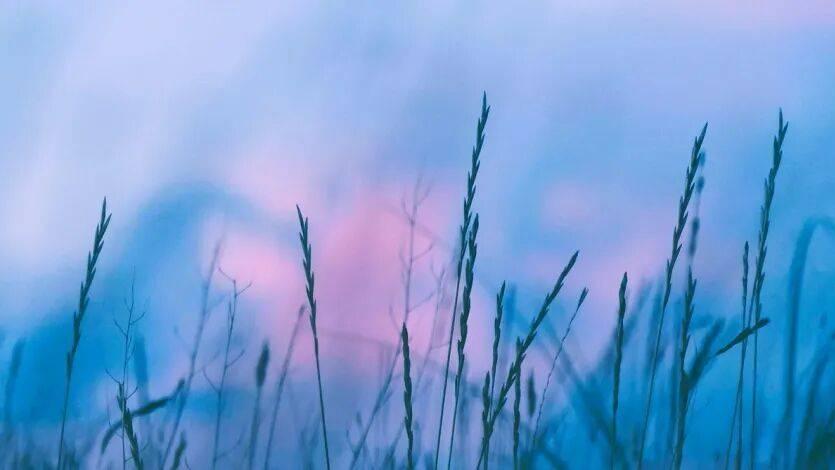 泡泡玛特冰箱来了！海尔美的格力追觅较量康佳澳柯玛火星人遇阻