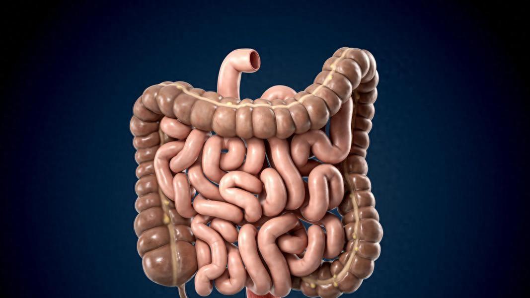 反复腹泻？别当成胃炎，克罗恩病作怪，早期干预90%患者正常生活