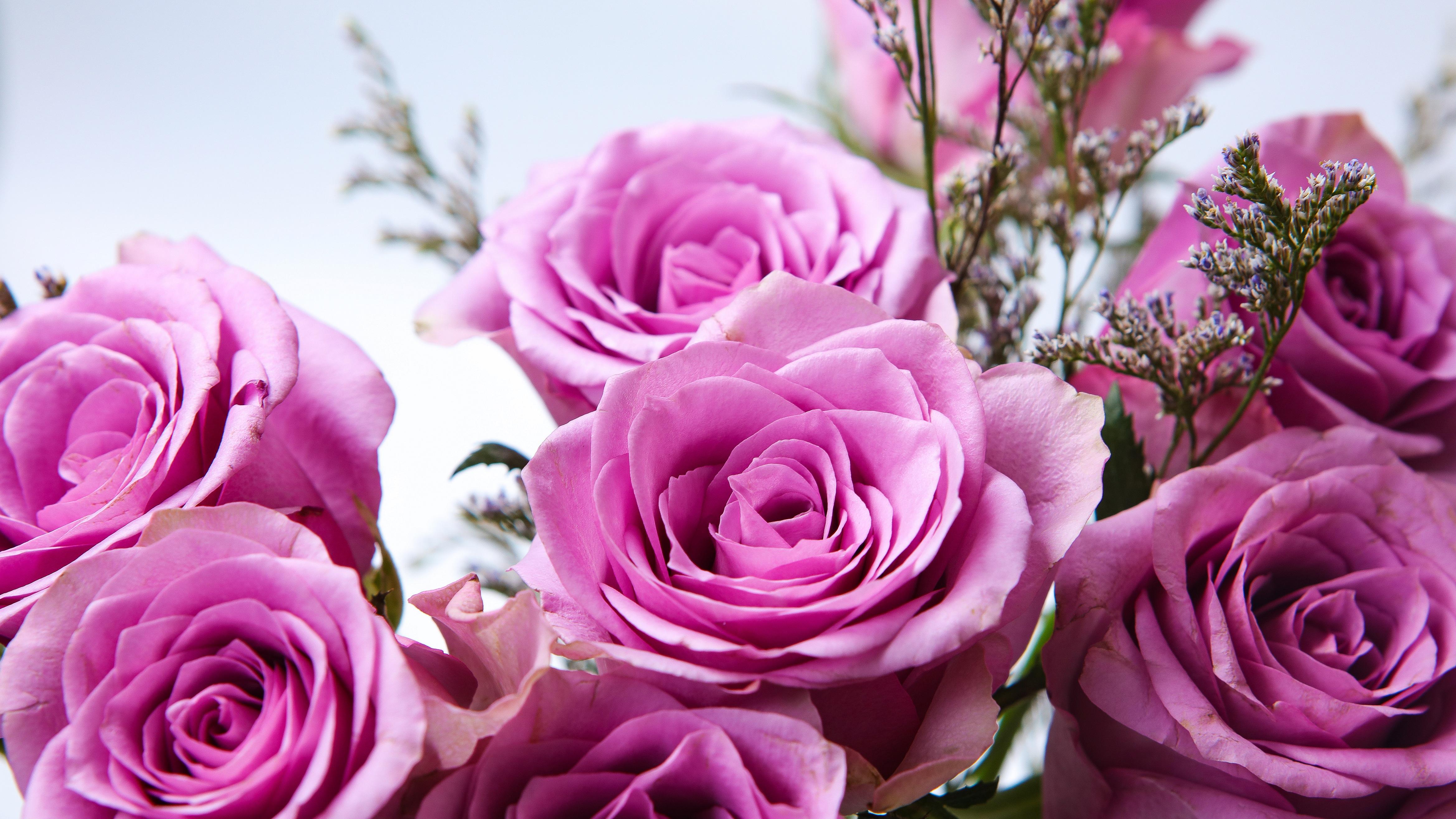 台积电变“美积电”？这是一场被定价的转移