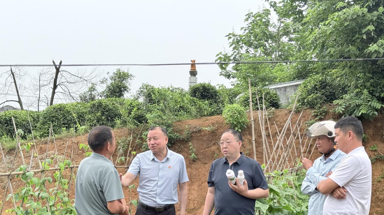 党建引领聚合力 科技助农添“硒”望 | 我会联合凌冲村开展主题党日暨结对共建活动