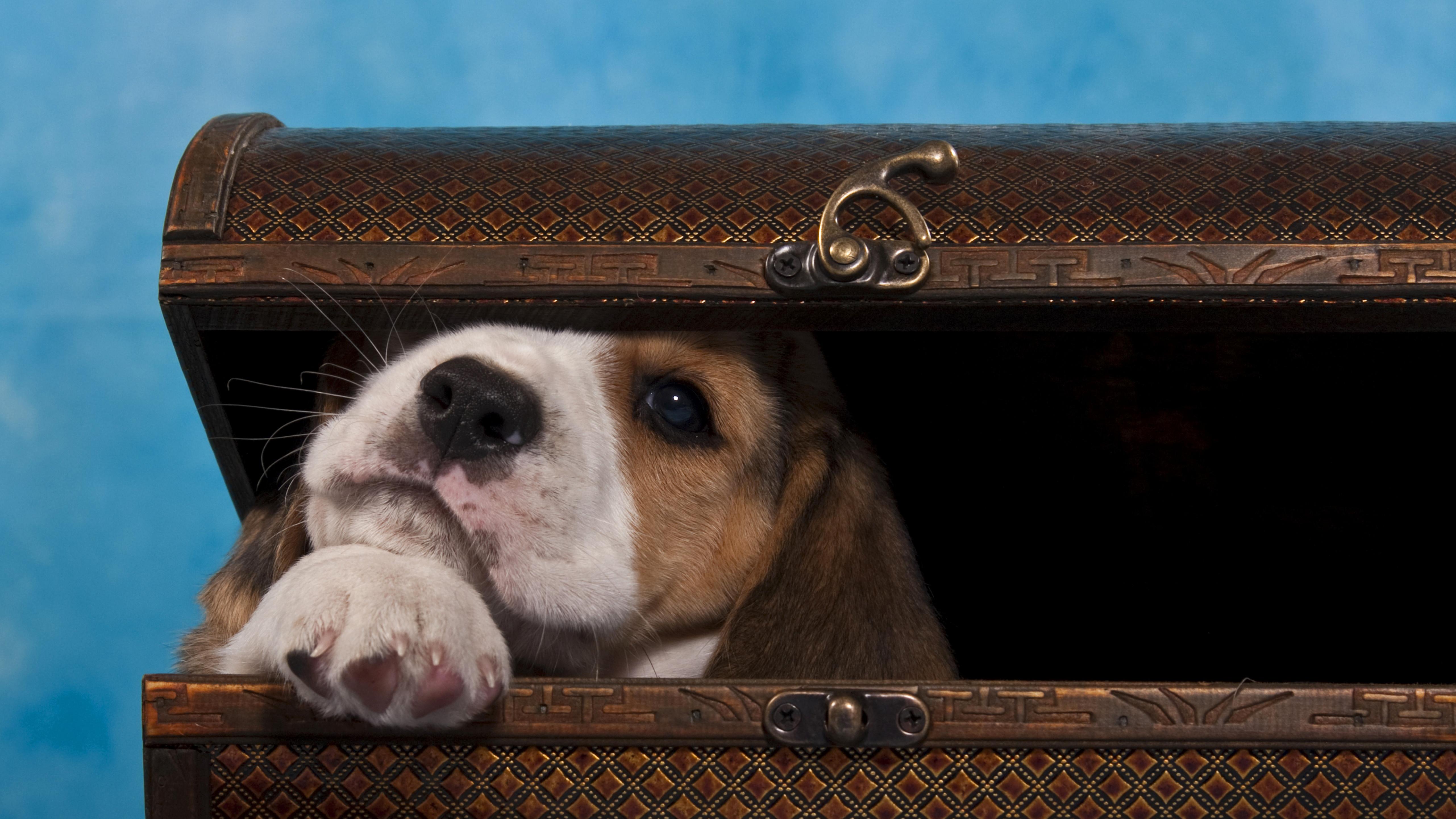 委内瑞拉删库跑路：主权债务能按重启键吗？