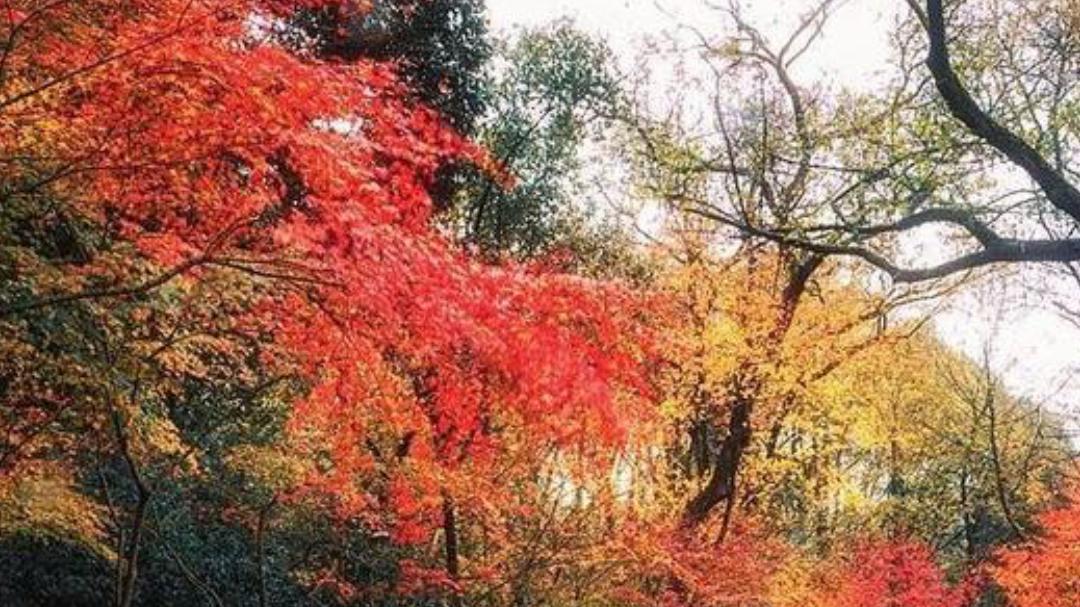 当负面情绪再次敲门时：10个即刻阻断抑郁症复发的技巧。