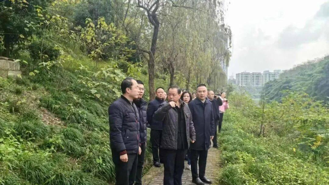 党政领导抓环保 | 巴南区政府区长、区总河长钟涛：持续擦亮巴南水环境治理名片