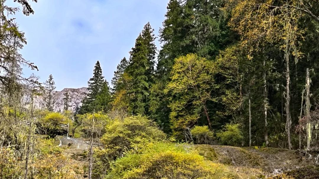 端午节两至三天可以选择去黑水卡泷沟徒步游
