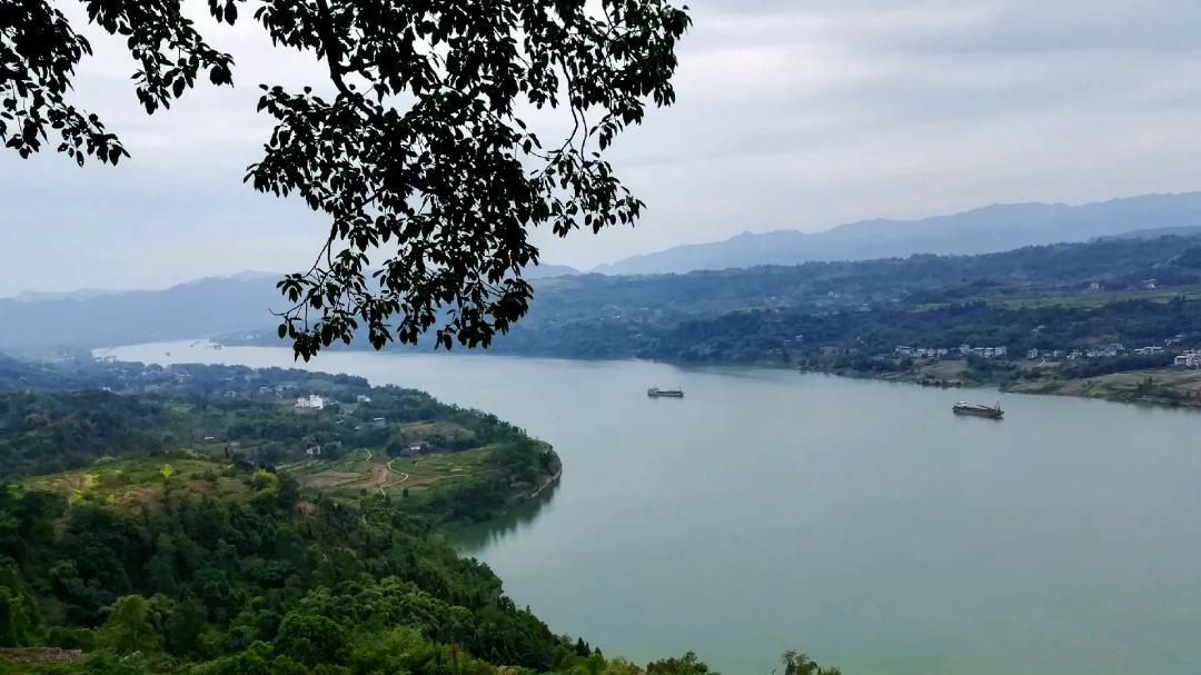 野钓高手：如何用一根5.4米手竿，在奔流大江中搏钓巨物？