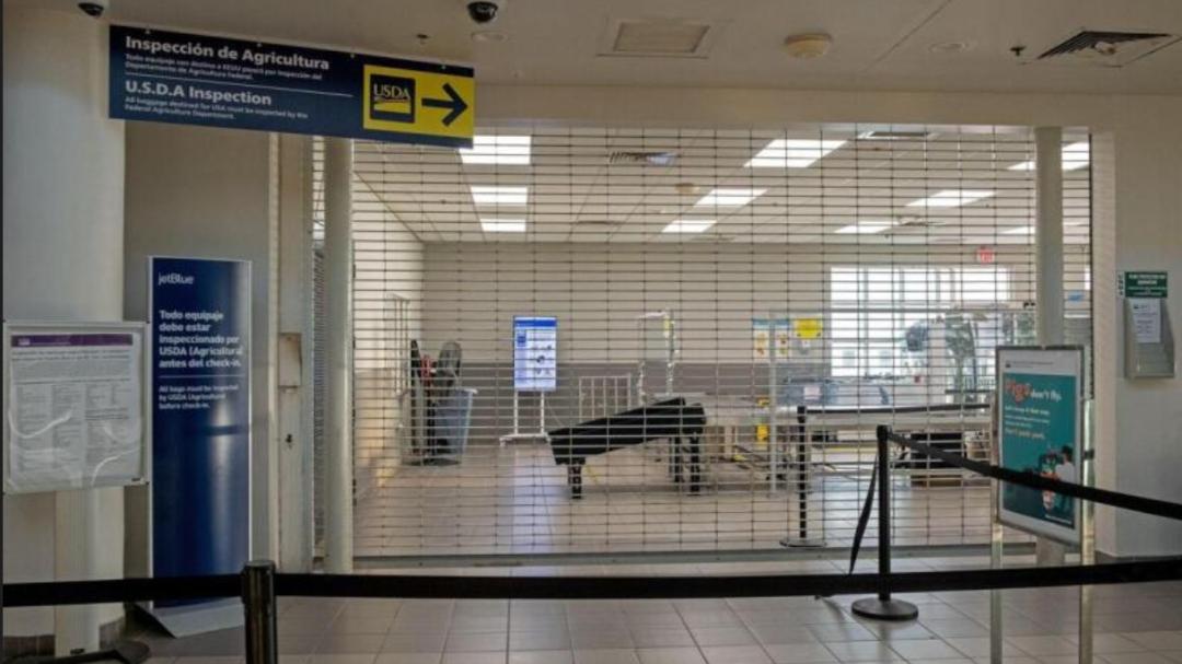 慧眸识天下20260105