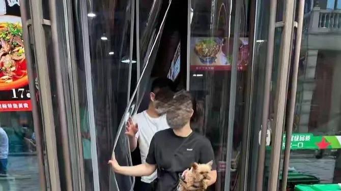 别当“出头鸟”：面对带狗进餐馆，聪明人应该先找谁？