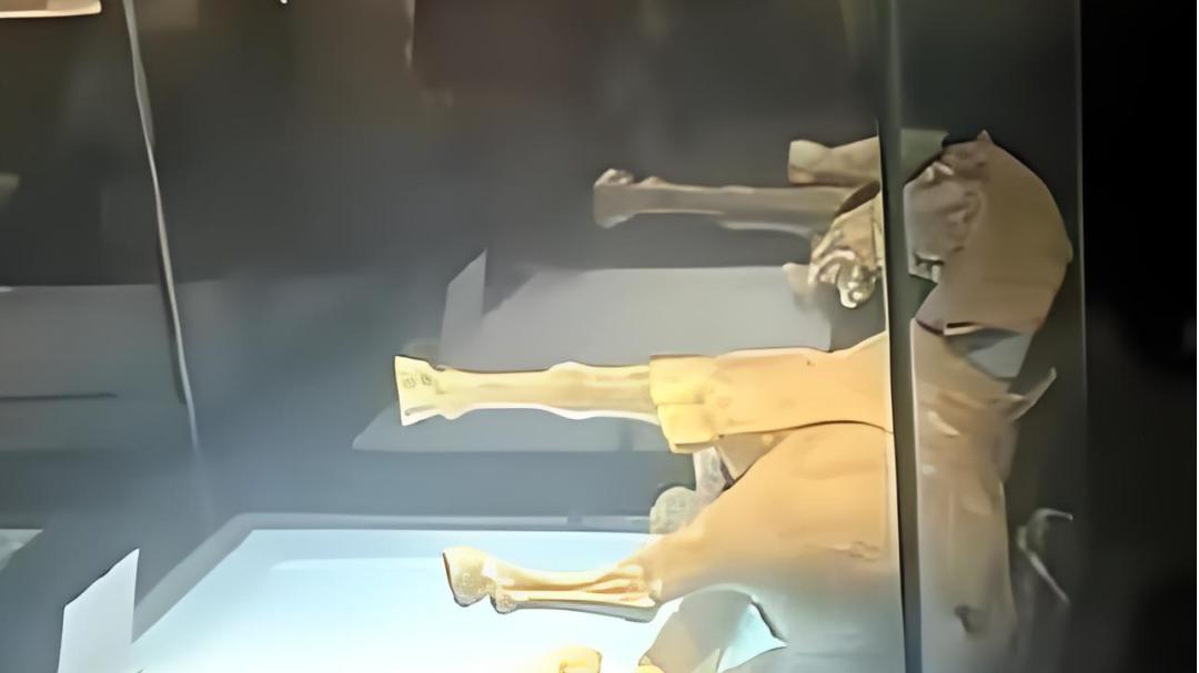 【玄】为什么最近“马”突然刷屏？