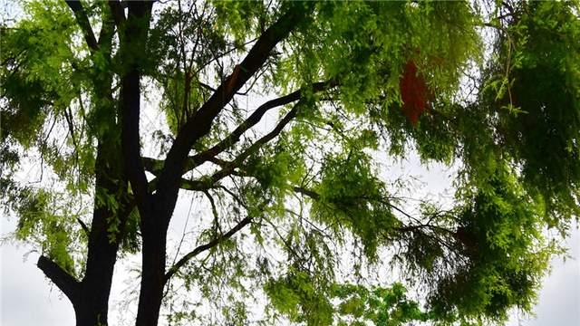 当咖啡遇见玫瑰：佛山首家爱情主题村咖“花间杯影”开业，都市人驱车只为“情绪价值”