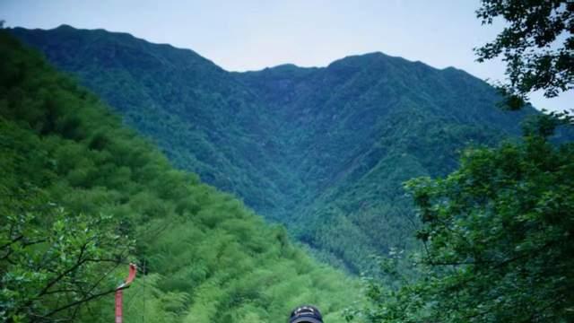 新书讯||东白诗集《溪山行旅》出版