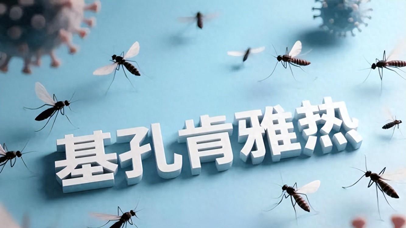 高烧不退？竟是戈登热？远离3个传播途径，早期症状别忽视