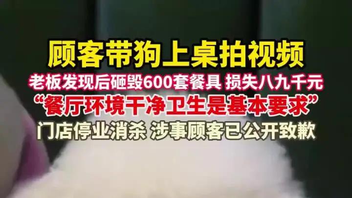 为什么很多餐馆打出了“探店博主与狗不得入内”的告示？