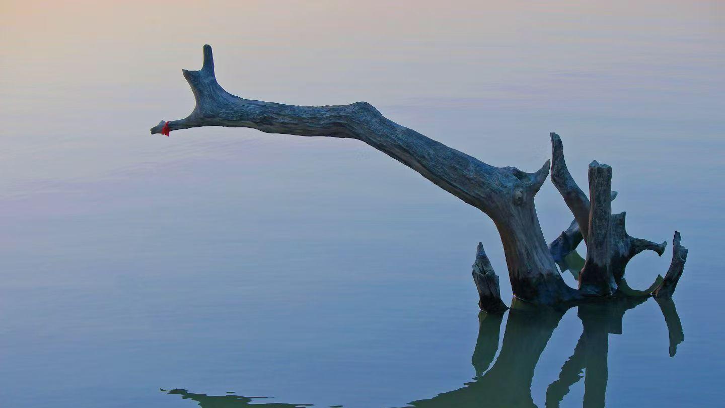 在明朝，皇帝和亲王是怎样传位的？