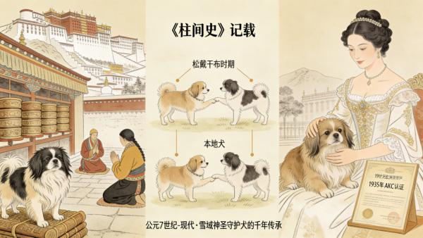 拉萨犬全解析：雪域高原的“神圣守护犬” 传奇