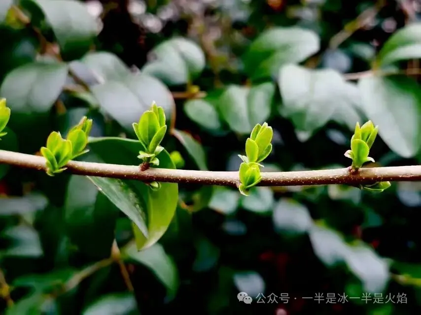 随笔：在喜欢的纬度里，做喜欢的事