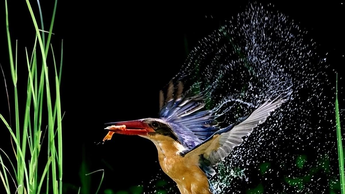 人生留得丹青在，纵死犹闻侠骨香