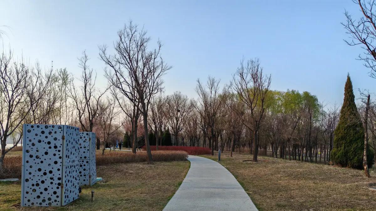 聪明人的嘴在心里，少说话多做事