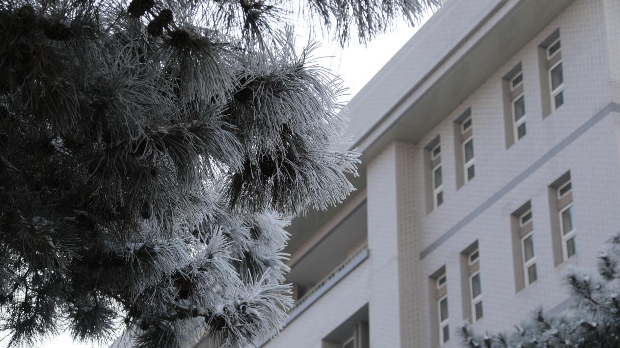 打造宜居校园！东北大学校园环境怎么样？一半烟火一半风景