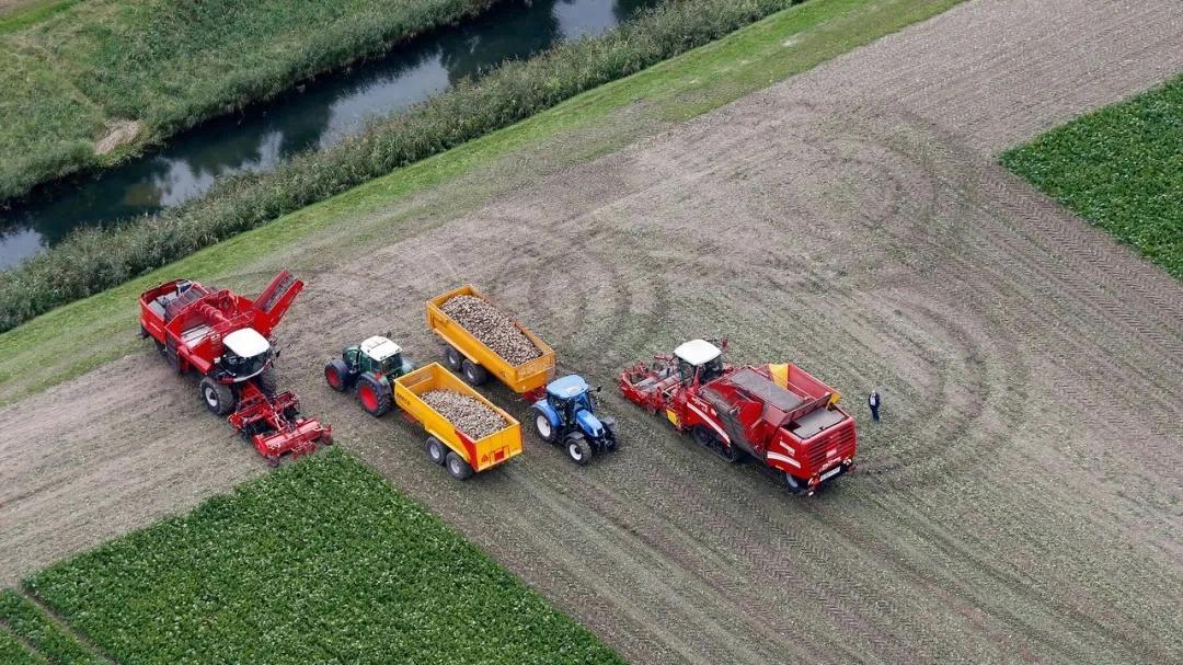 荷兰输给比利时和丹麦？生产率停滞14年，再不投资就晚了