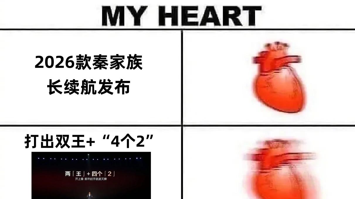 两个王四个2！看到比亚迪打牌的我就这样...