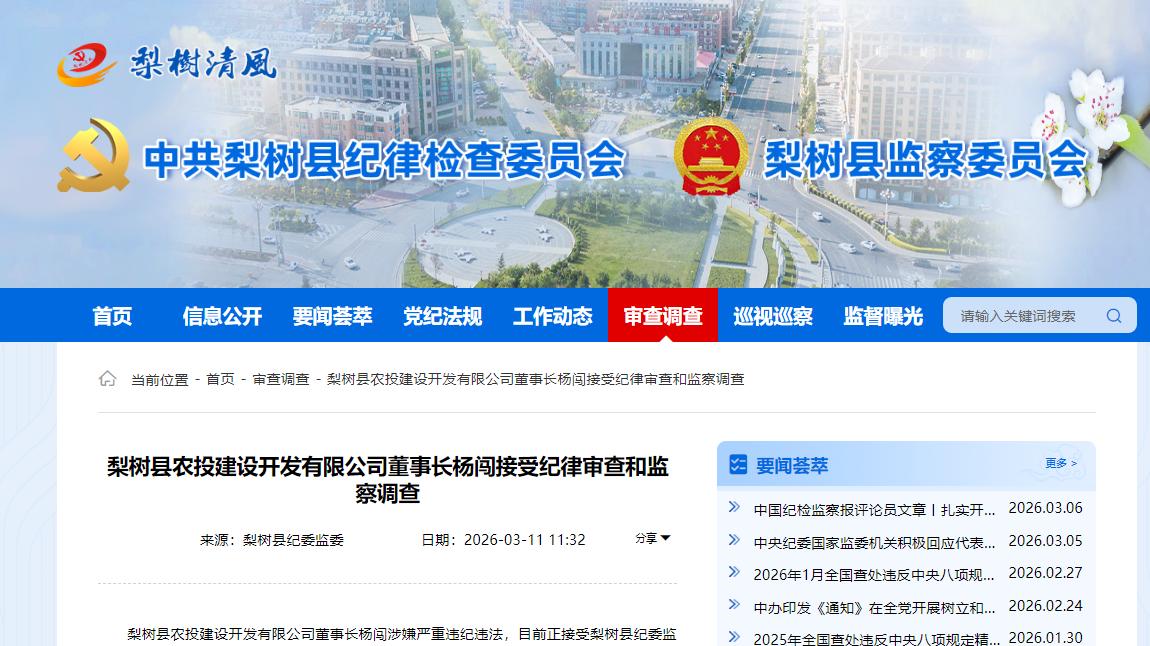 吉林省四平市梨树县农投建设开发有限公司董事长杨闯被查，赋史记·杨闯列传