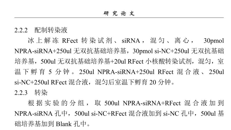 RFect siRNA转染试剂成功转染MGC-803 胃癌细胞株