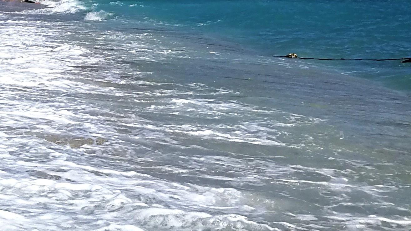 职场弄潮，不跟潮流较劲