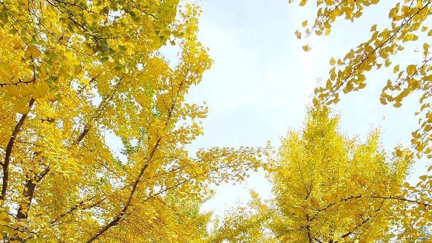 岁末的终章徐徐铺展，今年最后几天，试着发条不一样的朋友圈