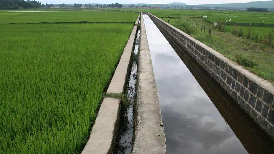 农田灌溉水质在线检测系统