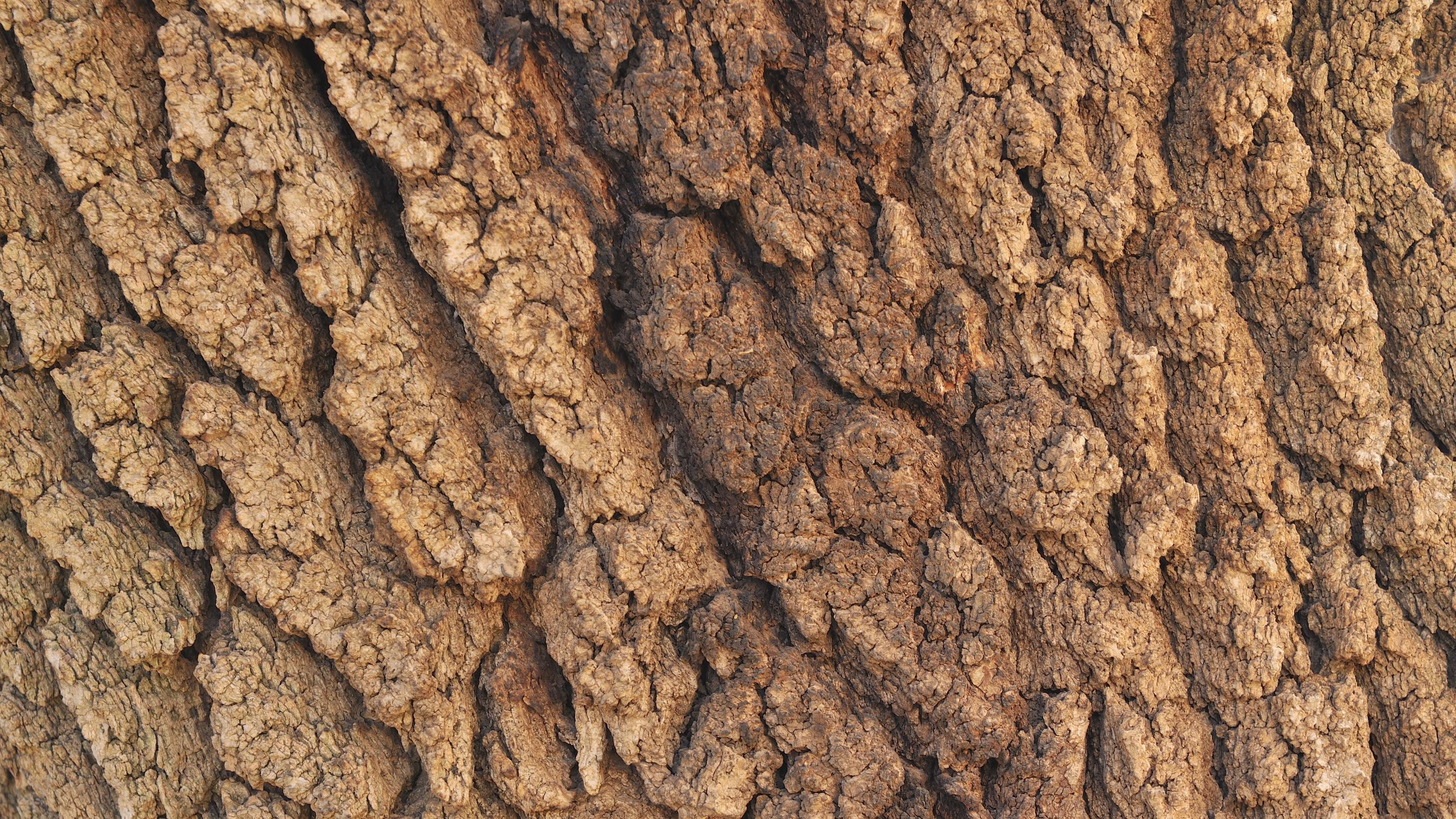 黄金暴涨背后藏着什么信号？