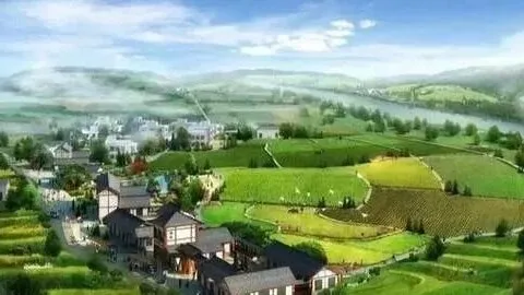 盘活存量，康养消化