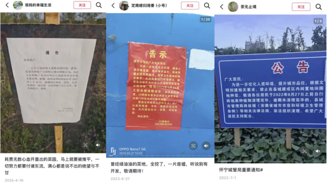 失地的外嫁女，决定在城市边缘找地