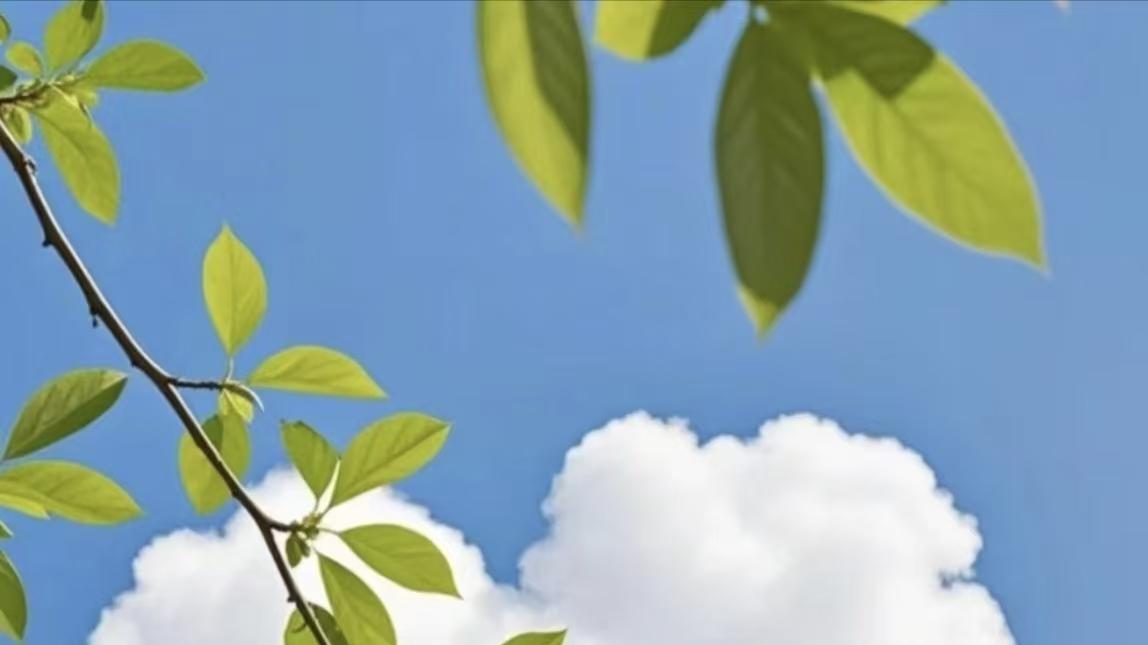 百代生物研发成功专用于EMSA实验的结合缓冲液