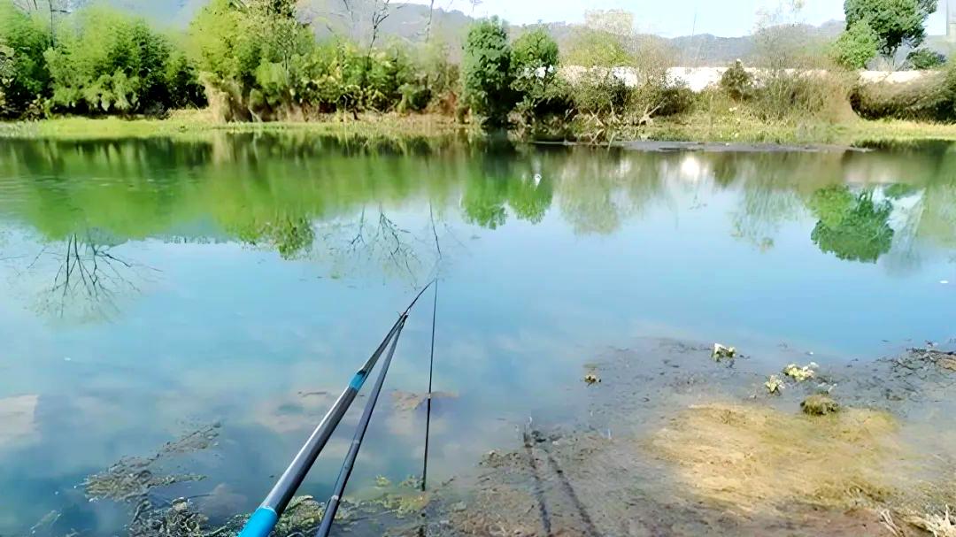 别再摆“鱼竿阵”了！2026新规一人一竿一线一钩，契合“人竿合一”至高钓境！