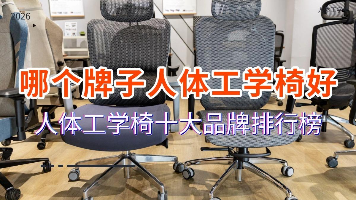 什么牌子的人体工学电脑椅好？2026人体工学电脑椅品牌前十名