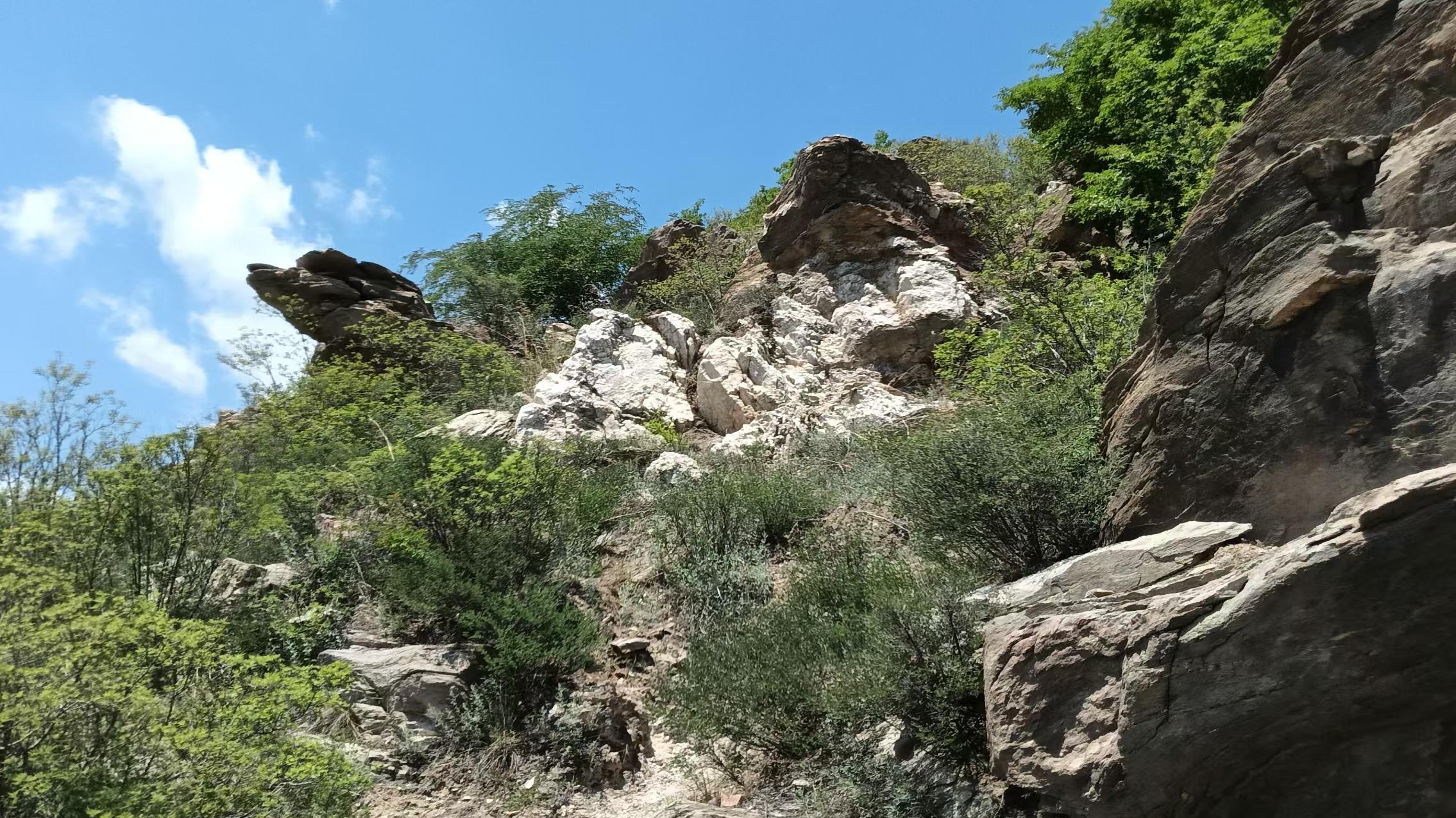 登顶金山（菩提偈十二）