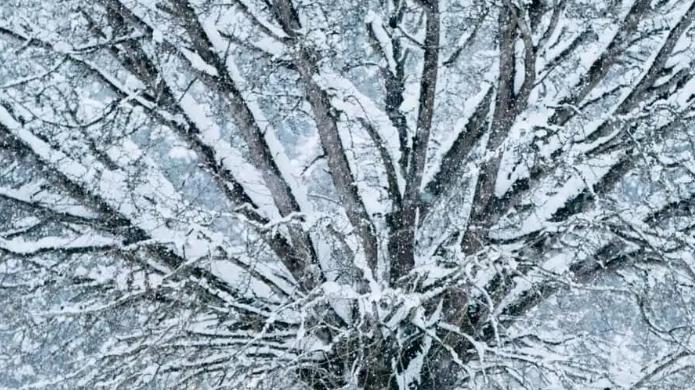 女朋友要求以后工资都要上交，怎么办？ 原创