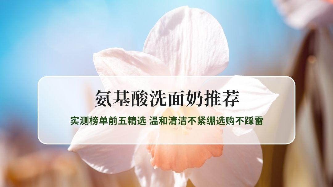 2026最新氨基酸洗面奶推荐 实测榜单前五精选 温和清洁不紧绷选购不踩雷