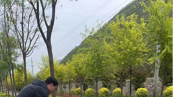 万荣县林业局拉网式“体检”春季绿化管护再升级