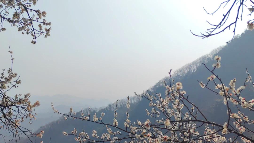 成都周边户外徒步一日游