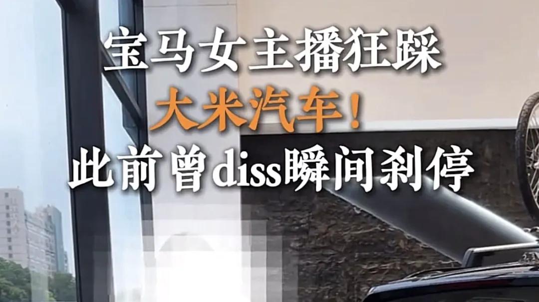 网友骂得越凶，小米汽车卖得越火？