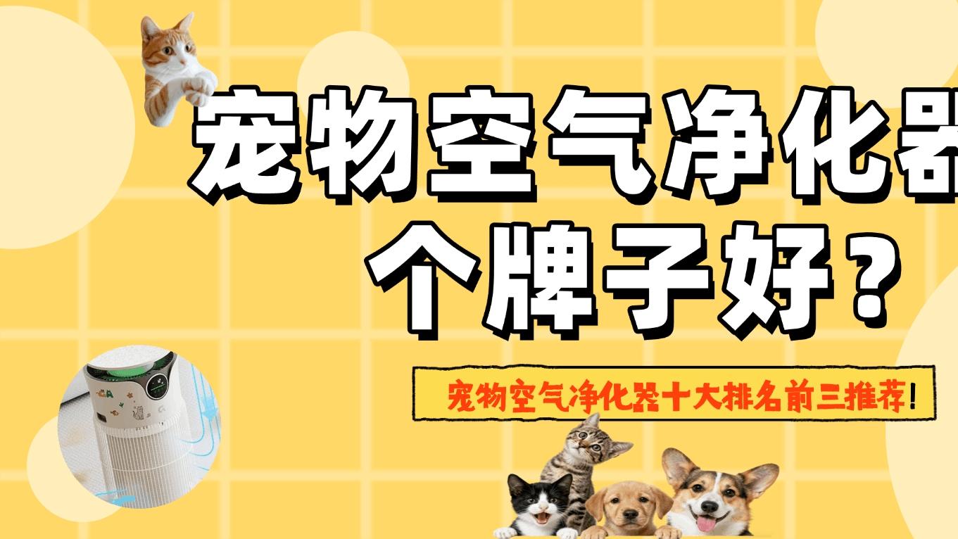 宠物空气净化器哪个牌子好? 2026宠物空气净化器十大排名前三推荐